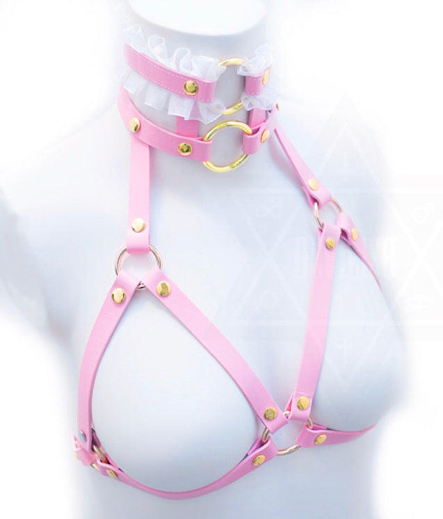 Pretty in Pink Strap-on Harness