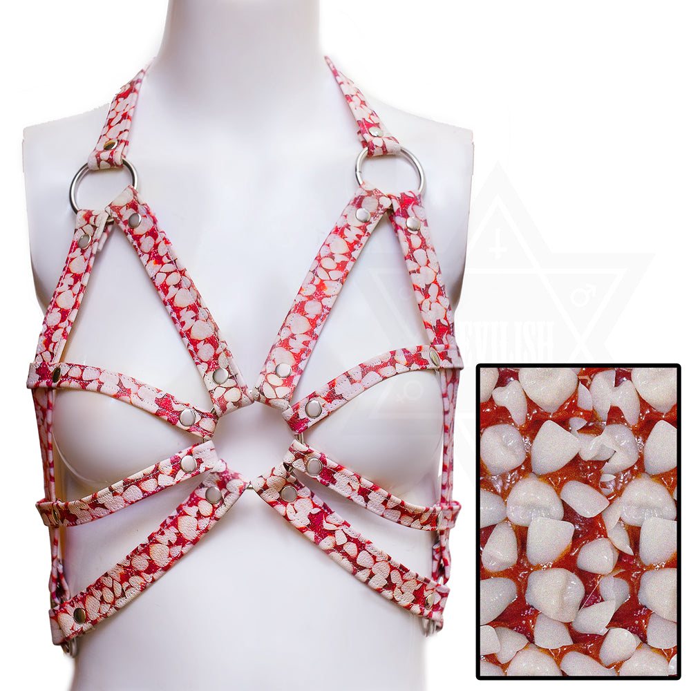 Teeth collection harness